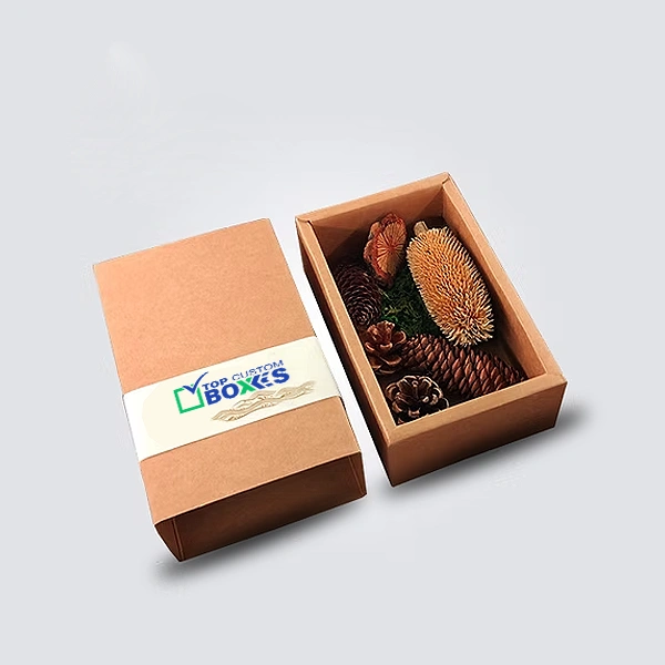buy-paper-inserts.webp