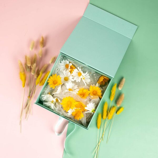 Collapsible Boxes
