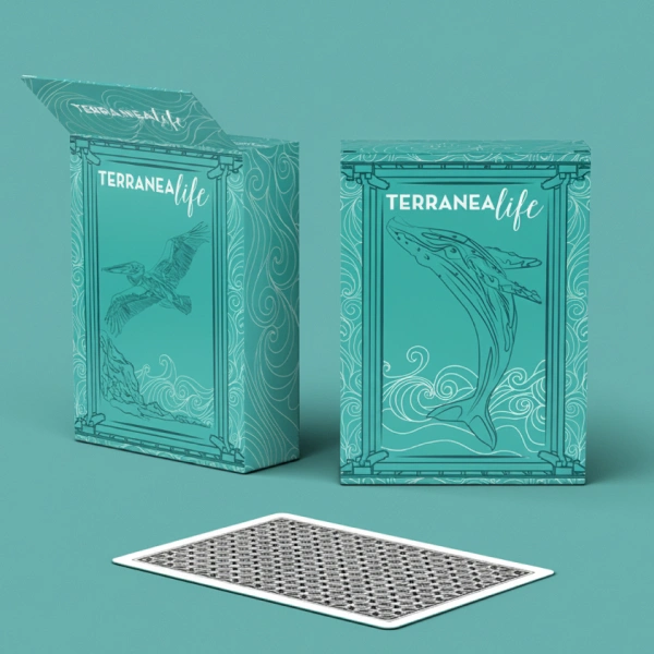playing-card-packaging-boxes.webp